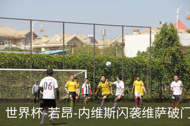 世界杯-若昂-内维斯闪袭维萨破门 葡萄牙1-1民主刚果