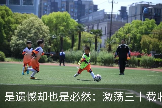 是遗憾却也是必然：激荡三十载收获多，但日本足球仍无法突破魔咒